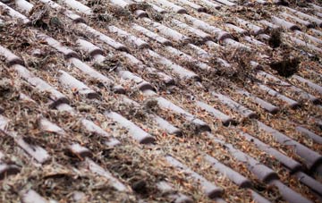 Scottish Borders roof cleaning companies